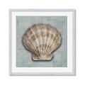 Picture of Vintage Shell I  _GroupedProduct_Square_Framed_Matted_