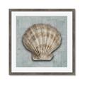 Picture of Vintage Shell I  _GroupedProduct_Square_Framed_Matted_