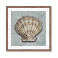 Picture of Vintage Shell I  _GroupedProduct_Square_Framed_Matted_