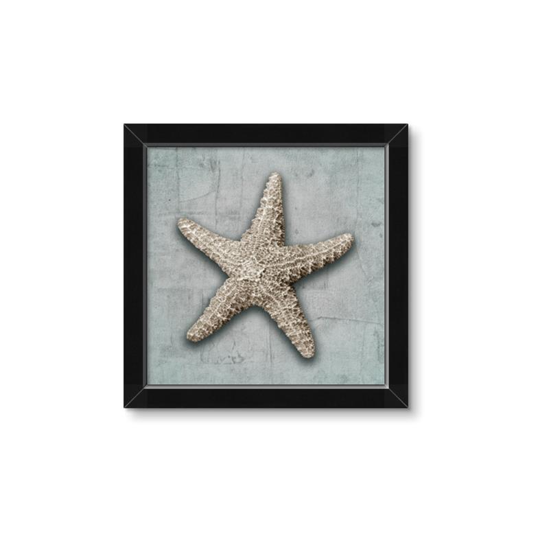 Picture of Vintage Shell II  _GroupedProduct_Square_Framed_Matted_