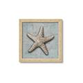 Picture of Vintage Shell II  _GroupedProduct_Square_Framed_Matted_