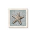 Picture of Vintage Shell II  _GroupedProduct_Square_Framed_Matted_