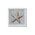 Picture of Vintage Shell II  _GroupedProduct_Square_Framed_Matted_