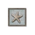 Picture of Vintage Shell II  _GroupedProduct_Square_Framed_Matted_