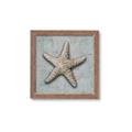 Picture of Vintage Shell II  _GroupedProduct_Square_Framed_Matted_