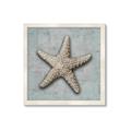 Picture of Vintage Shell II  _GroupedProduct_Square_Framed_Matted_