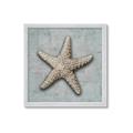 Picture of Vintage Shell II  _GroupedProduct_Square_Framed_Matted_