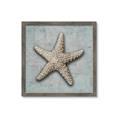Picture of Vintage Shell II  _GroupedProduct_Square_Framed_Matted_