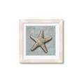 Picture of Vintage Shell II  _GroupedProduct_Square_Framed_Matted_