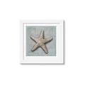 Picture of Vintage Shell II  _GroupedProduct_Square_Framed_Matted_