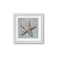 Picture of Vintage Shell II  _GroupedProduct_Square_Framed_Matted_