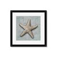 Picture of Vintage Shell II  _GroupedProduct_Square_Framed_Matted_