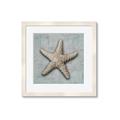 Picture of Vintage Shell II  _GroupedProduct_Square_Framed_Matted_