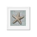 Picture of Vintage Shell II  _GroupedProduct_Square_Framed_Matted_