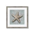 Picture of Vintage Shell II  _GroupedProduct_Square_Framed_Matted_