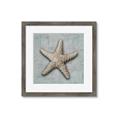 Picture of Vintage Shell II  _GroupedProduct_Square_Framed_Matted_