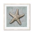 Picture of Vintage Shell II  _GroupedProduct_Square_Framed_Matted_