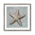 Picture of Vintage Shell II  _GroupedProduct_Square_Framed_Matted_