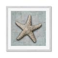 Picture of Vintage Shell II  _GroupedProduct_Square_Framed_Matted_