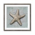 Picture of Vintage Shell II  _GroupedProduct_Square_Framed_Matted_