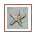 Picture of Vintage Shell II  _GroupedProduct_Square_Framed_Matted_