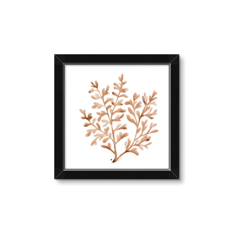 Picture of Orange Coral  _GroupedProduct_Square_Framed_Matted_