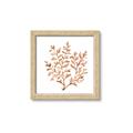 Picture of Orange Coral  _GroupedProduct_Square_Framed_Matted_