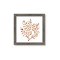 Picture of Orange Coral  _GroupedProduct_Square_Framed_Matted_