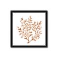 Picture of Orange Coral  _GroupedProduct_Square_Framed_Matted_