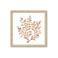 Picture of Orange Coral  _GroupedProduct_Square_Framed_Matted_