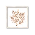 Picture of Orange Coral  _GroupedProduct_Square_Framed_Matted_