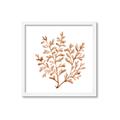 Picture of Orange Coral  _GroupedProduct_Square_Framed_Matted_