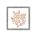 Picture of Orange Coral  _GroupedProduct_Square_Framed_Matted_