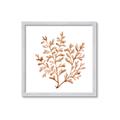 Picture of Orange Coral  _GroupedProduct_Square_Framed_Matted_
