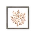 Picture of Orange Coral  _GroupedProduct_Square_Framed_Matted_