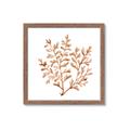 Picture of Orange Coral  _GroupedProduct_Square_Framed_Matted_