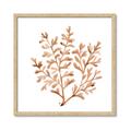 Picture of Orange Coral  _GroupedProduct_Square_Framed_Matted_
