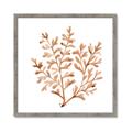 Picture of Orange Coral  _GroupedProduct_Square_Framed_Matted_