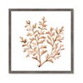 Picture of Orange Coral  _GroupedProduct_Square_Framed_Matted_