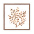 Picture of Orange Coral  _GroupedProduct_Square_Framed_Matted_