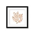 Picture of Orange Coral  _GroupedProduct_Square_Framed_Matted_