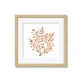 Picture of Orange Coral  _GroupedProduct_Square_Framed_Matted_