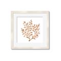 Picture of Orange Coral  _GroupedProduct_Square_Framed_Matted_