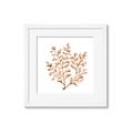 Picture of Orange Coral  _GroupedProduct_Square_Framed_Matted_