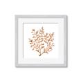 Picture of Orange Coral  _GroupedProduct_Square_Framed_Matted_