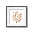 Picture of Orange Coral  _GroupedProduct_Square_Framed_Matted_