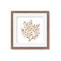 Picture of Orange Coral  _GroupedProduct_Square_Framed_Matted_