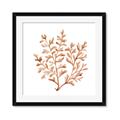 Picture of Orange Coral  _GroupedProduct_Square_Framed_Matted_
