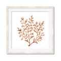 Picture of Orange Coral  _GroupedProduct_Square_Framed_Matted_