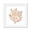Picture of Orange Coral  _GroupedProduct_Square_Framed_Matted_